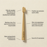 Brosses à Dents Manuelles en Poils de Sanglier (Pack de 4)