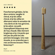 Brosses à Dents Manuelles en Poils de Sanglier (Pack de 4)